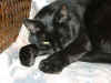 100-0092_IMG_smaller.jpg (59302 bytes)